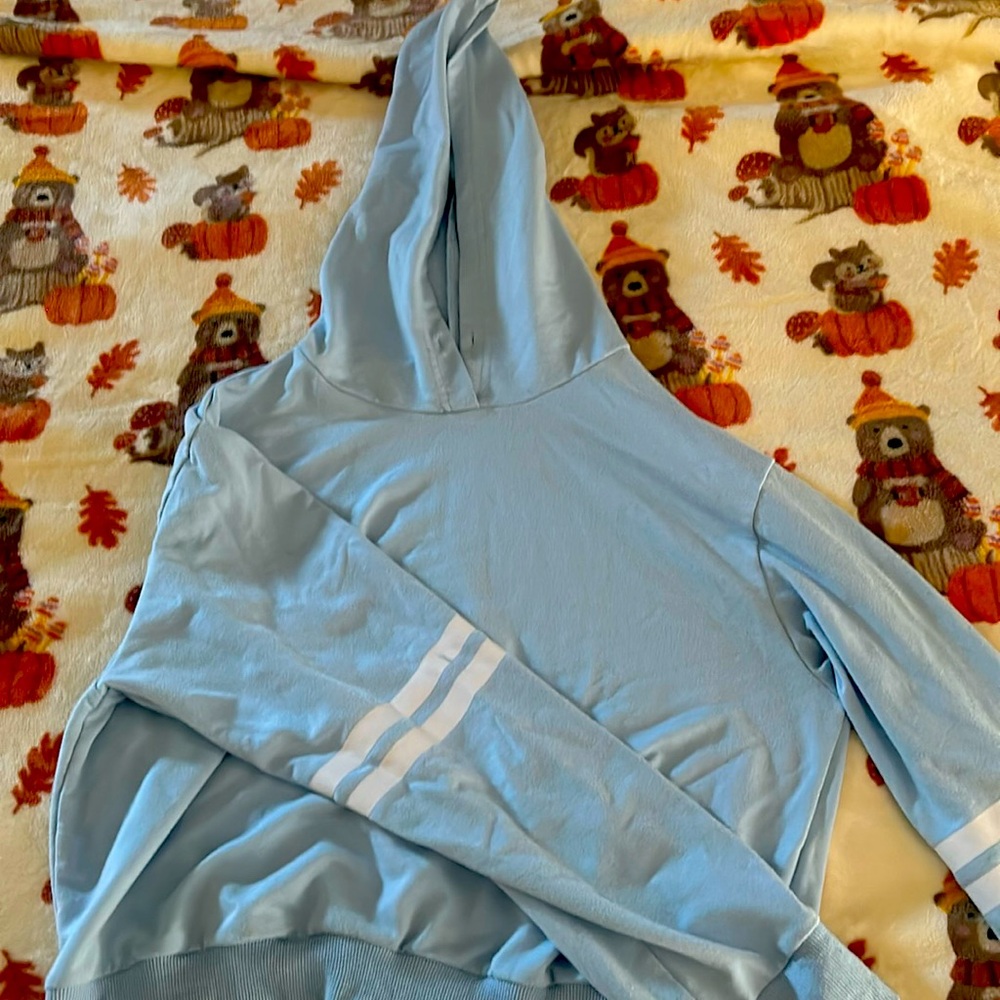 A cropped blue Adidas sweatshirt